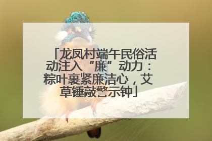 龙凤村端午民俗活动注入“廉”动力：粽叶裹紧廉洁心，艾草锤敲警示钟
