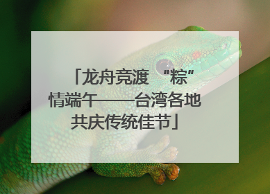 龙舟竞渡 “粽”情端午——台湾各地共庆传统佳节