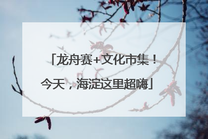 龙舟赛+文化市集！今天，海淀这里超嗨