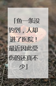 鱼一条没钓到，人却进了医院！最近因此受伤的还真不少