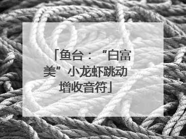 鱼台：“白富美”小龙虾跳动增收音符