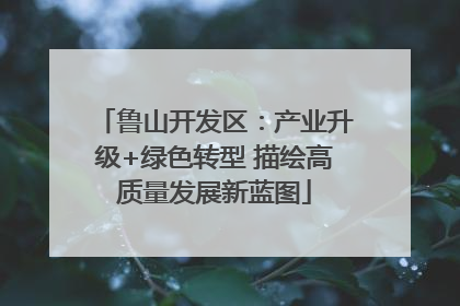 鲁山开发区：产业升级+绿色转型 描绘高质量发展新蓝图
