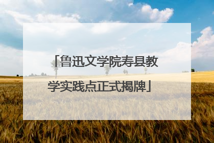鲁迅文学院寿县教学实践点正式揭牌