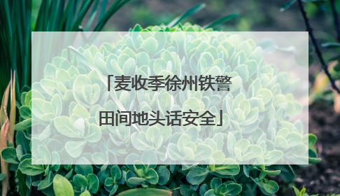 麦收季徐州铁警田间地头话安全