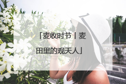 麦收时节丨麦田里的观天人