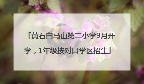 黄石白马山第二小学9月开学，1年级按对口学区招生