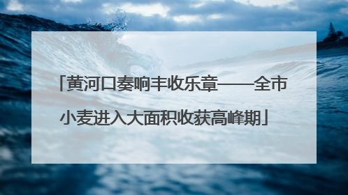 黄河口奏响丰收乐章——全市小麦进入大面积收获高峰期