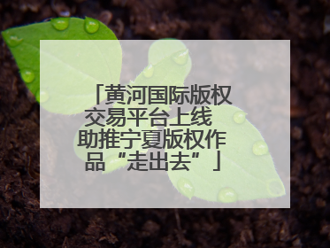 黄河国际版权交易平台上线 助推宁夏版权作品“走出去”