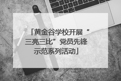 黄金谷学校开展“三亮三比”党员先锋示范系列活动