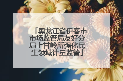 黑龙江省伊春市市场监管局友好分局上甘岭所强化民生领域计量监管
