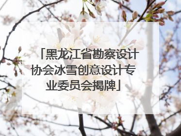 黑龙江省勘察设计协会冰雪创意设计专业委员会揭牌