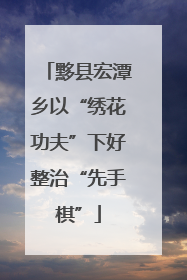 黟县宏潭乡以“绣花功夫”下好整治“先手棋”