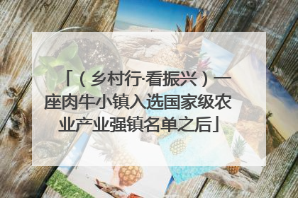 （乡村行·看振兴）一座肉牛小镇入选国家级农业产业强镇名单之后