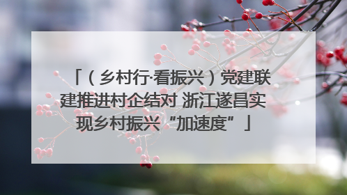 （乡村行·看振兴）党建联建推进村企结对 浙江遂昌实现乡村振兴“加速度”
