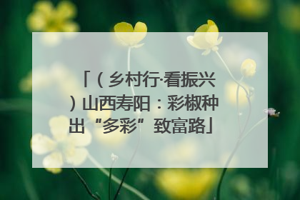 （乡村行·看振兴）山西寿阳：彩椒种出“多彩”致富路