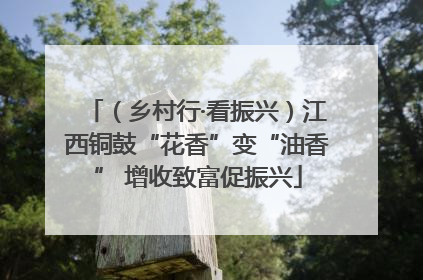 （乡村行·看振兴）江西铜鼓“花香”变“油香” 增收致富促振兴