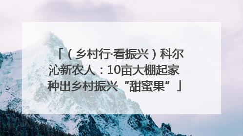 （乡村行·看振兴）科尔沁新农人：10亩大棚起家种出乡村振兴“甜蜜果”