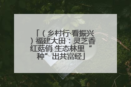 （乡村行·看振兴）福建大田：灵芝香红菇俏 生态林里“种”出共富经
