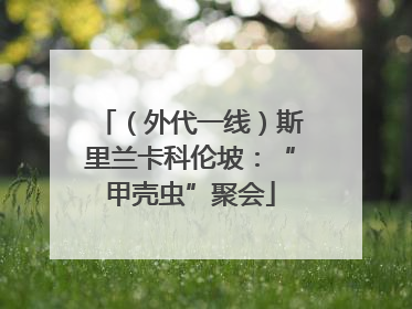 （外代一线）斯里兰卡科伦坡：“甲壳虫”聚会