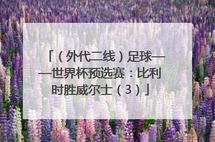 （外代二线）足球——世界杯预选赛：比利时胜威尔士（3）