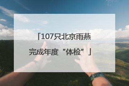 107只北京雨燕完成年度“体检”