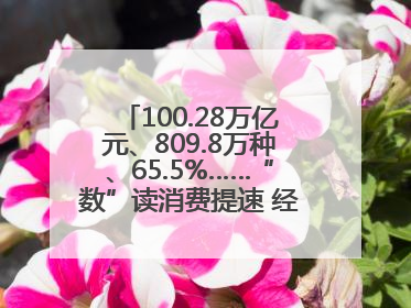 100.28万亿元、809.8万种、65.5%……“数”读消费提速 经济潜力释放