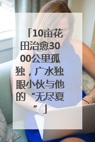 10亩花田治愈3000公里孤独，广水独眼小伙与他的“无尽夏”