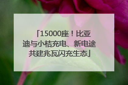 15000座！比亚迪与小桔充电、新电途共建兆瓦闪充生态