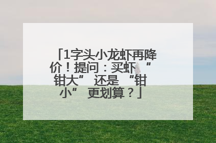 1字头小龙虾再降价！提问：买虾 “钳大” 还是 “钳小” 更划算？