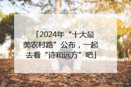 2024年“十大最美农村路”公布，一起去看“诗和远方”吧