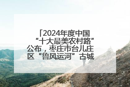 2024年度中国“十大最美农村路”公布，枣庄市台儿庄区“鲁风运河”古城文化廊道上榜！