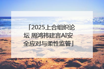 2025上合组织论坛 周鸿祎建言AI安全应对与柔性监管