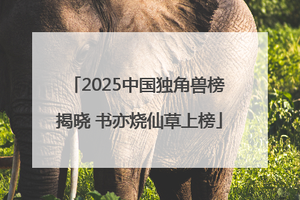 2025中国独角兽榜揭晓 书亦烧仙草上榜