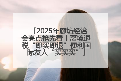 2025年廊坊经洽会亮点抢先看丨离境退税“即买即退”便利国际友人“买买买”
