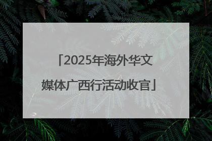 2025年海外华文媒体广西行活动收官