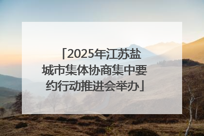 2025年江苏盐城市集体协商集中要约行动推进会举办