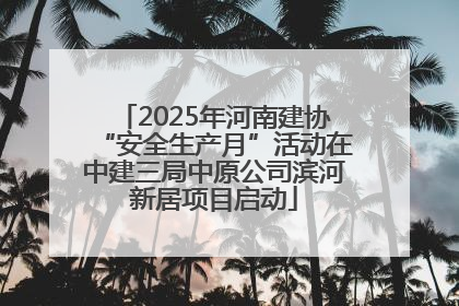 2025年河南建协“安全生产月”活动在中建三局中原公司滨河新居项目启动