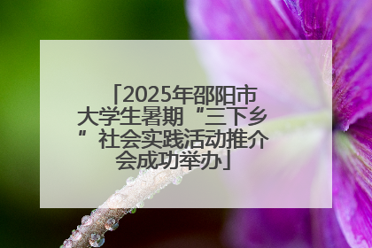 2025年邵阳市大学生暑期“三下乡”社会实践活动推介会成功举办