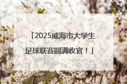 2025威海市大学生足球联赛圆满收官！
