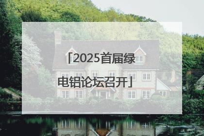 2025首届绿电铝论坛召开