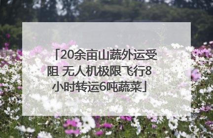 20余亩山蔬外运受阻 无人机极限飞行8小时转运6吨蔬菜