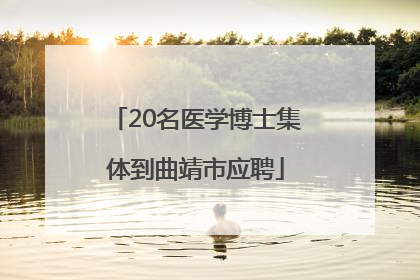 20名医学博士集体到曲靖市应聘