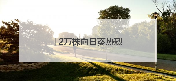 2万株向日葵热烈绽放！郑州植物园向日葵花展今日开幕