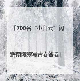 700名“小白云”闪耀南博续写青春答卷