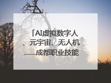 AI虚拟数字人、元宇宙、无人机……成都职业技能大赛启动