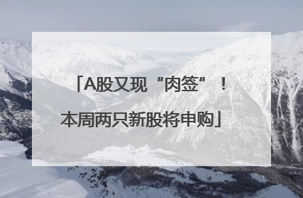 A股又现“肉签”！本周两只新股将申购