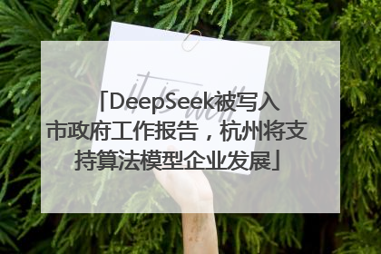 DeepSeek被写入市政府工作报告，杭州将支持算法模型企业发展
