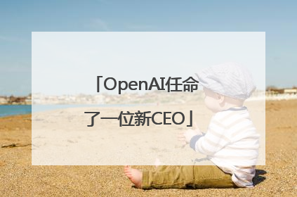 OpenAI任命了一位新CEO