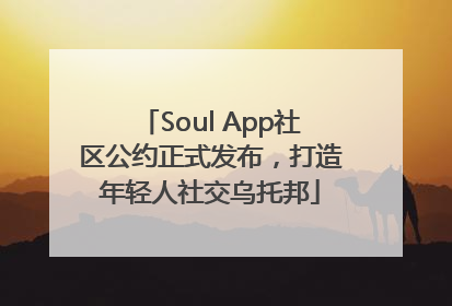 Soul App社区公约正式发布，打造年轻人社交乌托邦